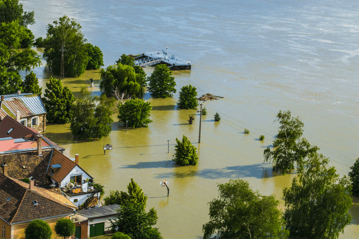 COP30 : une première étape timide pour l’adaptation