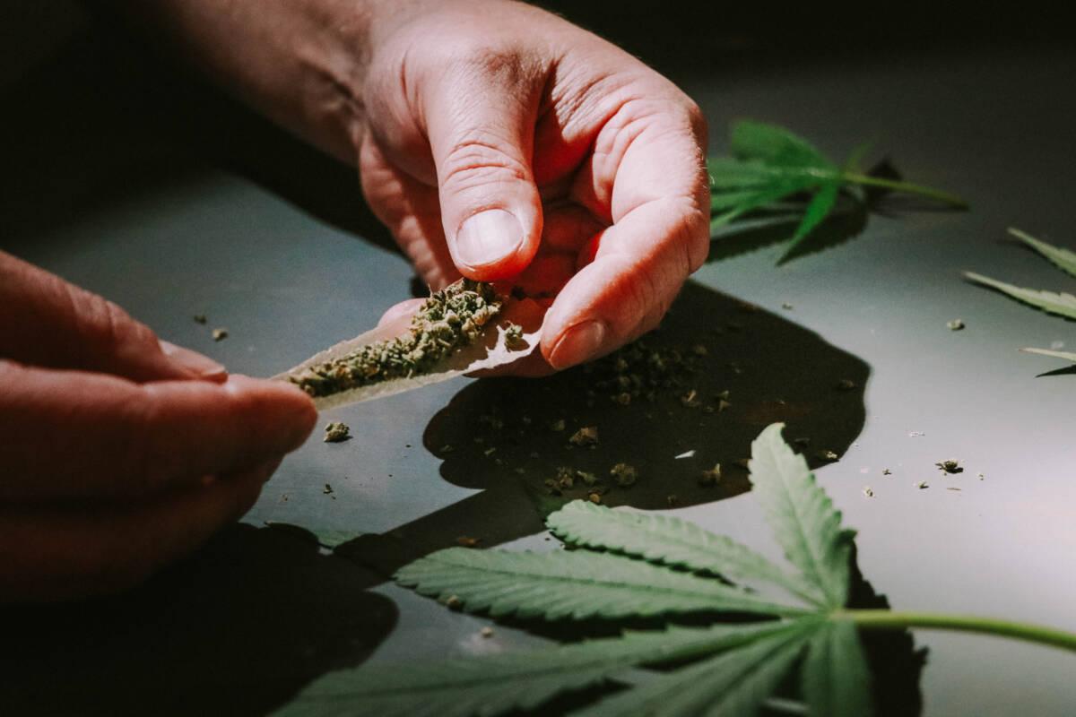 Les jeunes et le cannabis en France : état des lieux